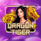 winbig Dragon Tiger